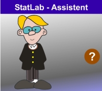 Assistent in der Umgebung Statistik Interaktiv