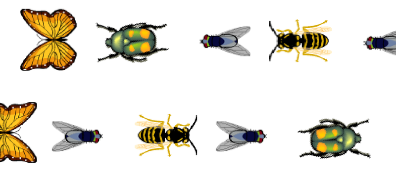 tiere.png