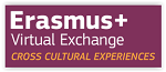 erasmus virtual exchange 150