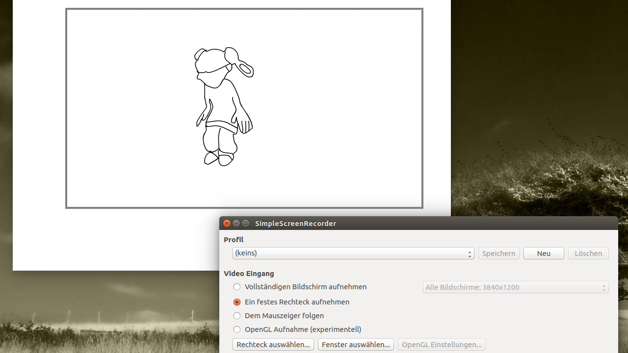 Abfilmen einer Flash-Animation