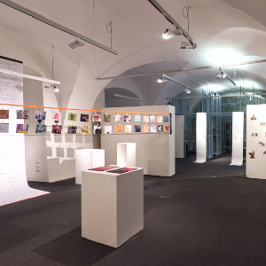 Ausstellungsrndgang Kunstuni Linz