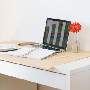 Hauptbild des Beitrags