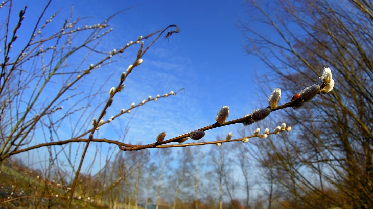 Hauptbild des Beitrags