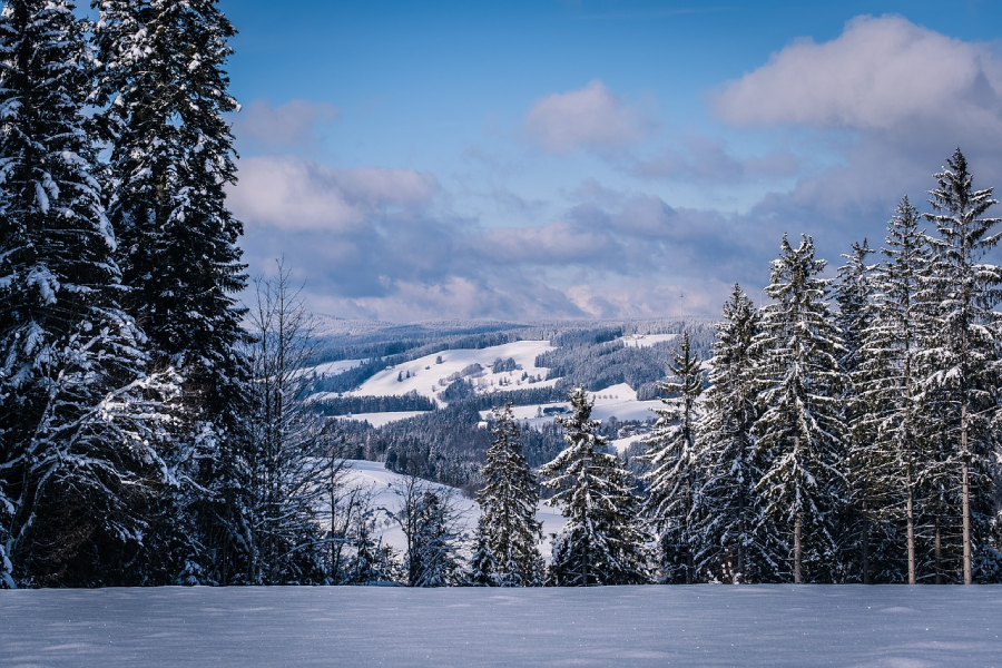 Hauptbild des Beitrags