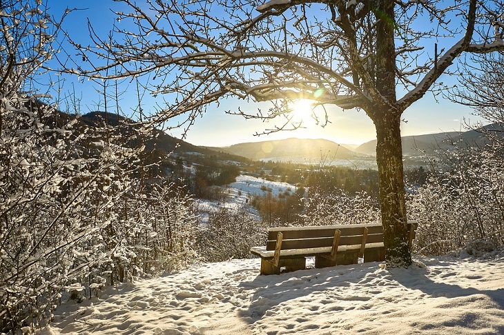 Hauptbild des Beitrags