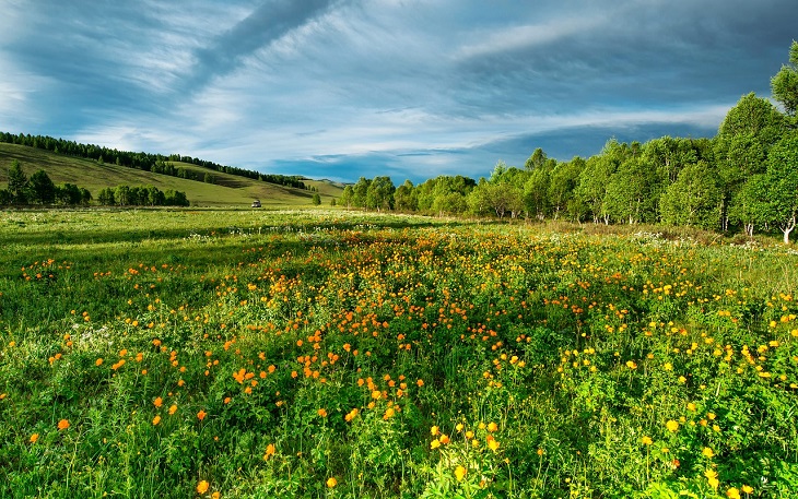 Hauptbild des Beitrags