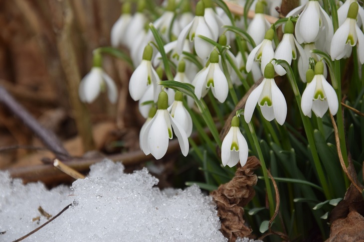 Hauptbild des Beitrags