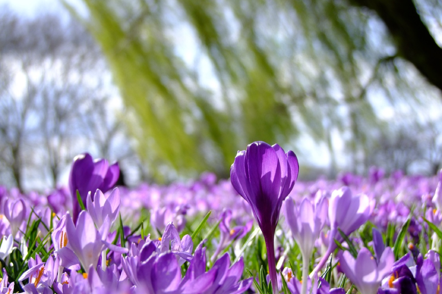 Hauptbild des Beitrags