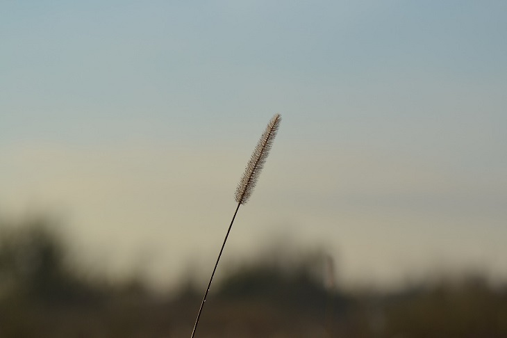 Hauptbild des Beitrags