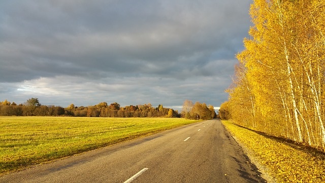 Hauptbild des Beitrags