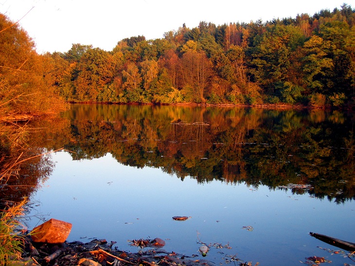 Hauptbild des Beitrags