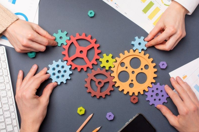 Bild zum Beitrag: Curriculumentwicklung